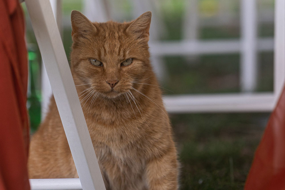 EventSCHEUNE Lausitz – Hochzeiten & Events im Lausitzer Seenland EventSCHEUNE Lausitz – Hochzeiten & Events im Lausitzer Seenland