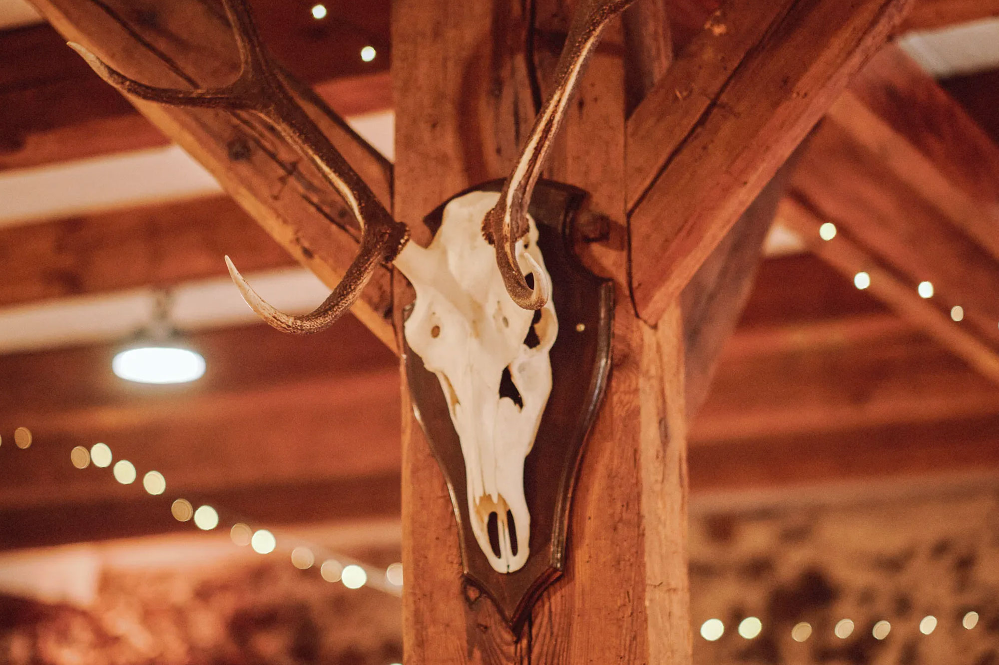 geweih EventSCHEUNE Lausitz – Hochzeiten & Events im Lausitzer Seenland